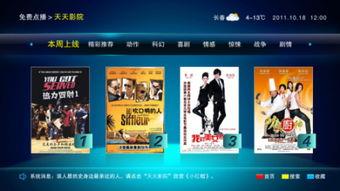 天天在线国产,构建国产科技新格局